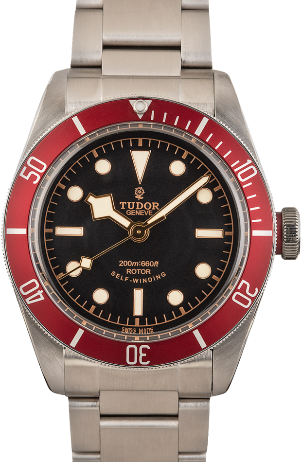 Tudor Heritage Black Bay 79220 Stainless Steel